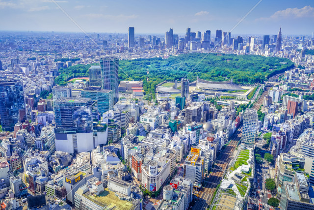 写真のタイトルが入ります