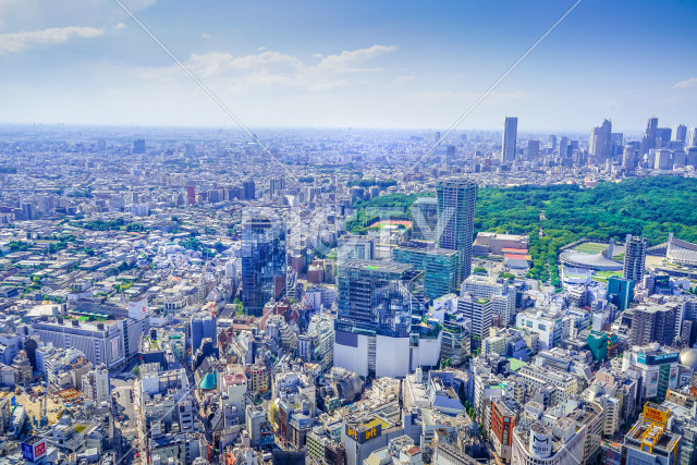 写真のタイトルが入ります