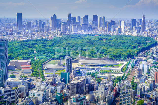 写真のタイトルが入ります