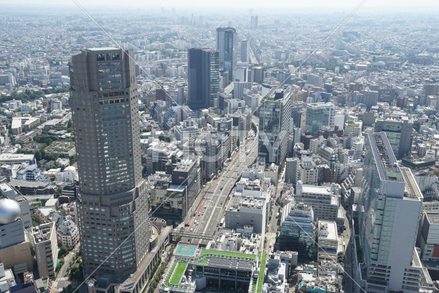 写真のタイトルが入ります