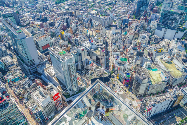 写真のタイトルが入ります