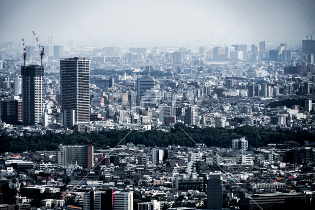 写真のタイトルが入ります