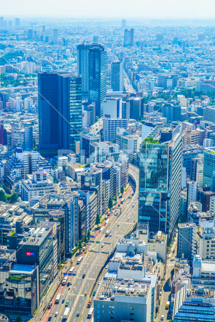 写真のタイトルが入ります