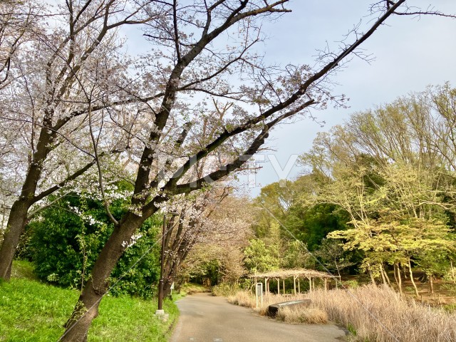 写真のタイトルが入ります