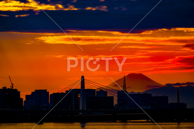 写真のタイトルが入ります
