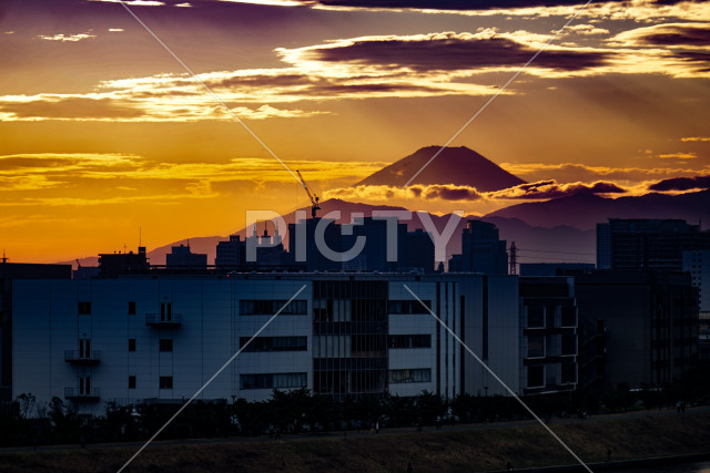 写真のタイトルが入ります