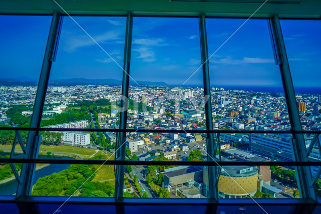 写真のタイトルが入ります
