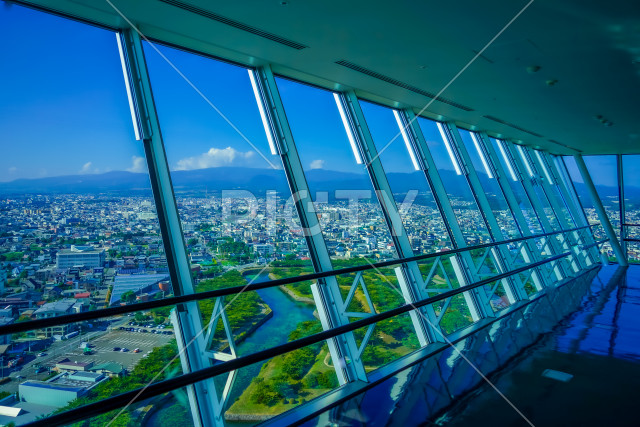 写真のタイトルが入ります