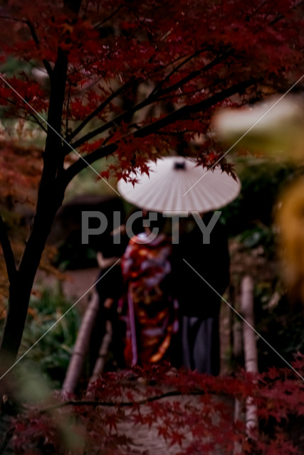 紅葉と和装の二人