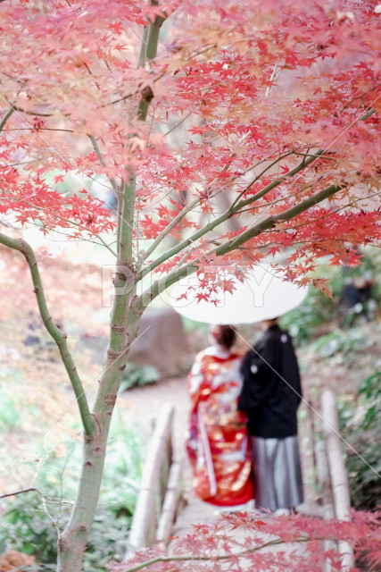 写真のタイトルが入ります