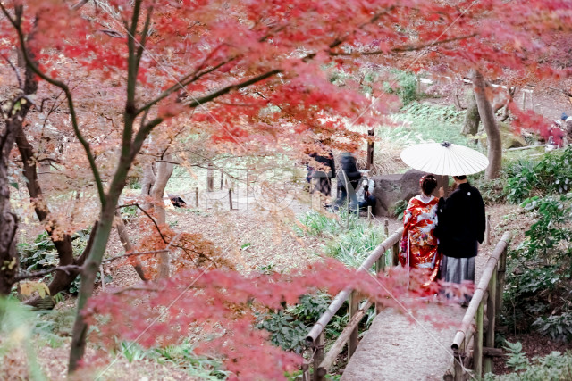 紅葉と和装の二人