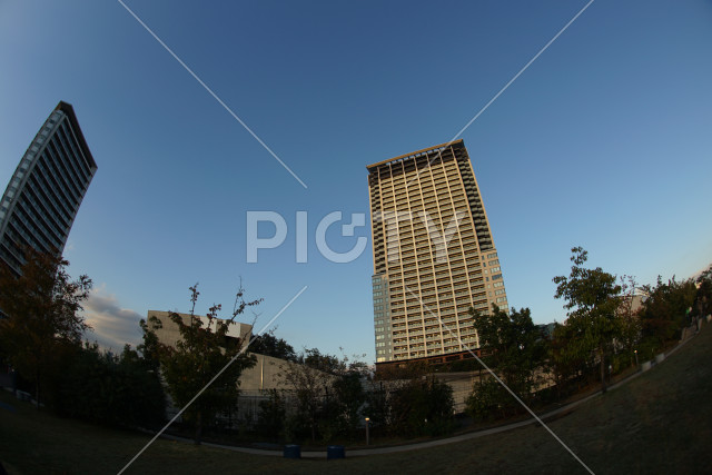 写真のタイトルが入ります