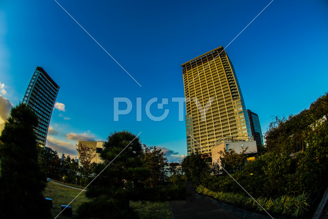 写真のタイトルが入ります