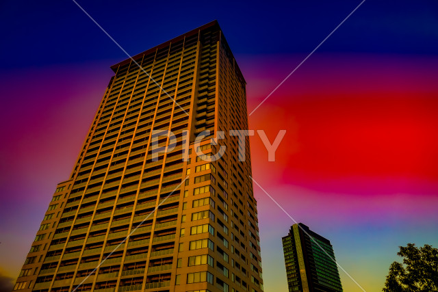 写真のタイトルが入ります