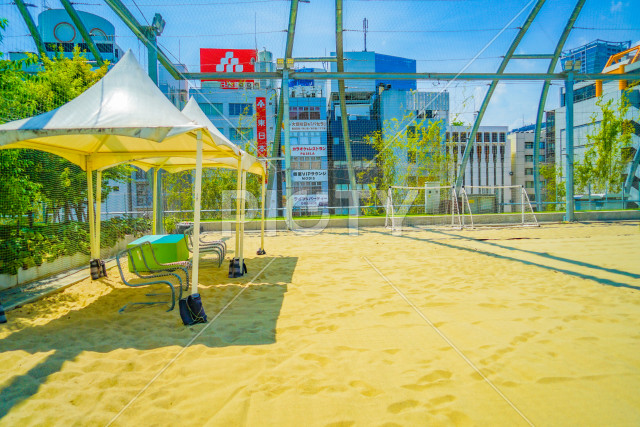 写真のタイトルが入ります