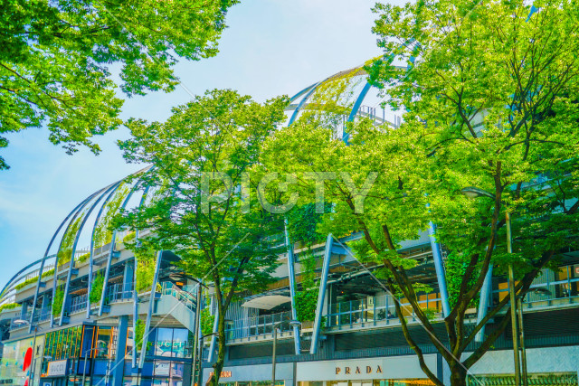 写真のタイトルが入ります