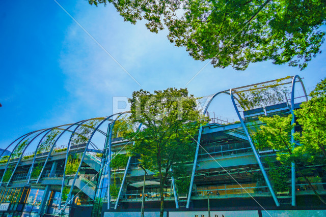 写真のタイトルが入ります