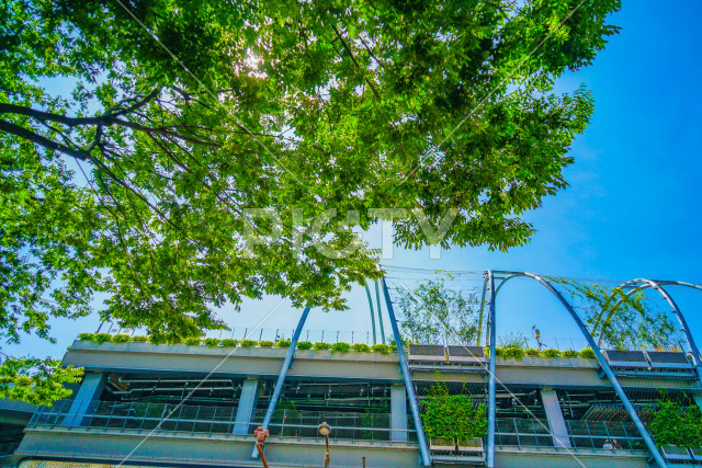宮下パーク（東京都渋谷区）