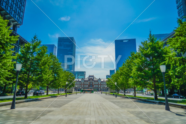 写真のタイトルが入ります