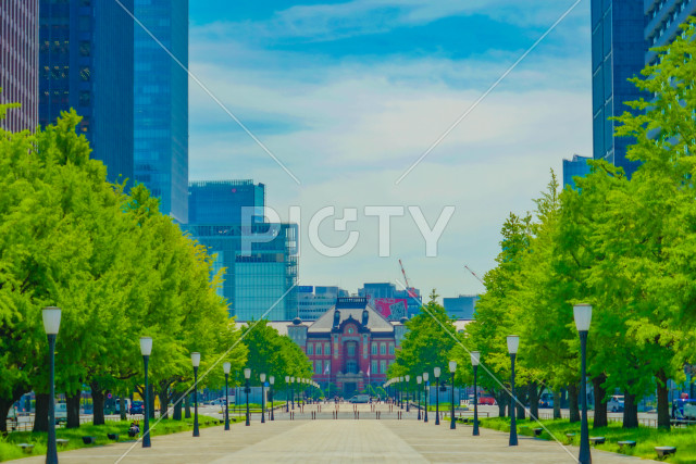写真のタイトルが入ります