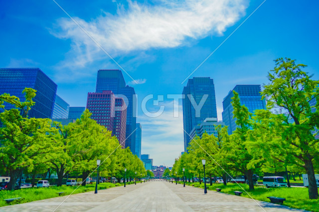 写真のタイトルが入ります