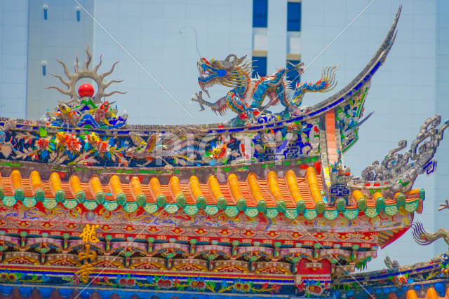写真のタイトルが入ります