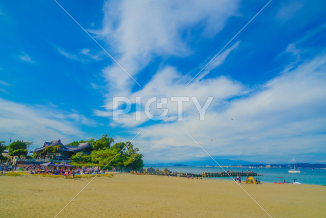 写真のタイトルが入ります