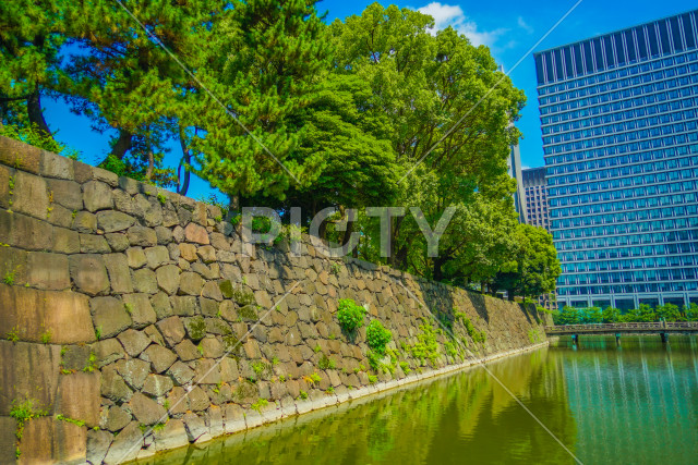 写真のタイトルが入ります
