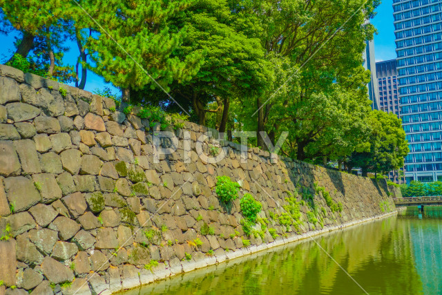 写真のタイトルが入ります