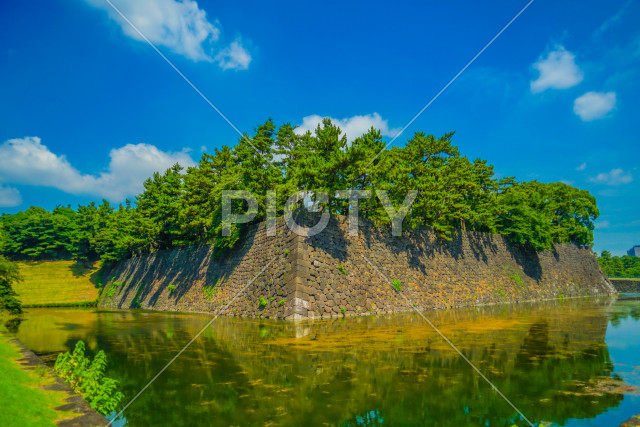 写真のタイトルが入ります