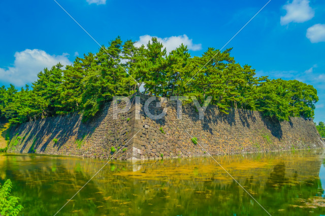 写真のタイトルが入ります