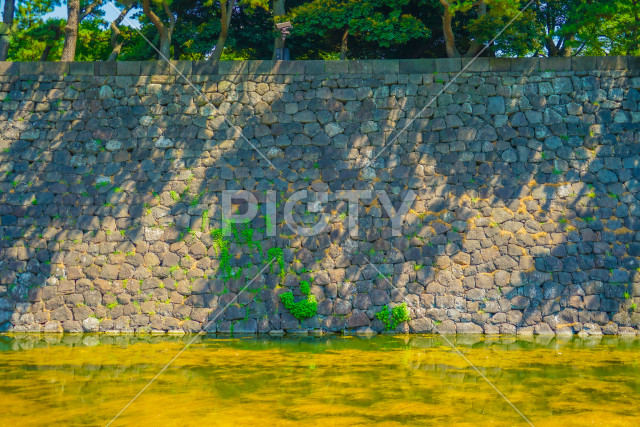 写真のタイトルが入ります
