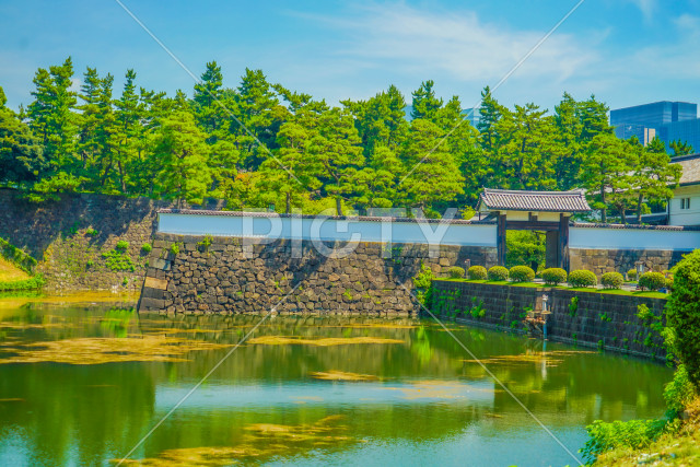 写真のタイトルが入ります