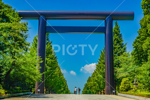 写真のタイトルが入ります