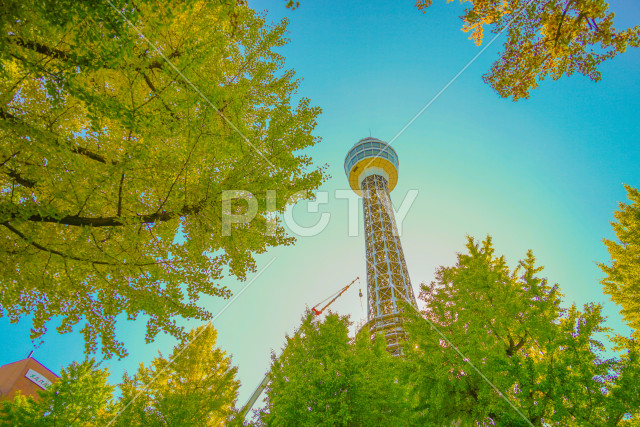 写真のタイトルが入ります