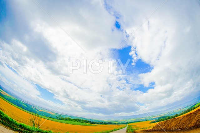 写真のタイトルが入ります