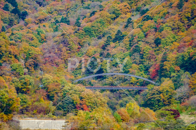 写真のタイトルが入ります