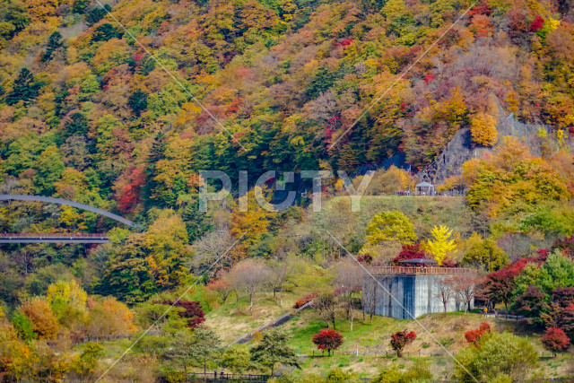 写真のタイトルが入ります