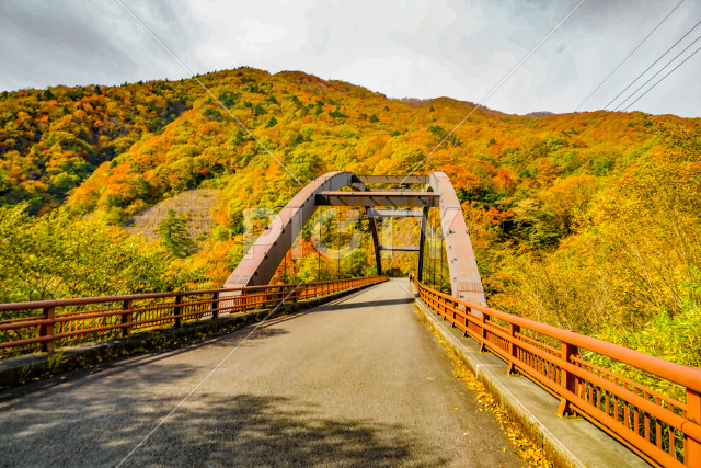 写真のタイトルが入ります