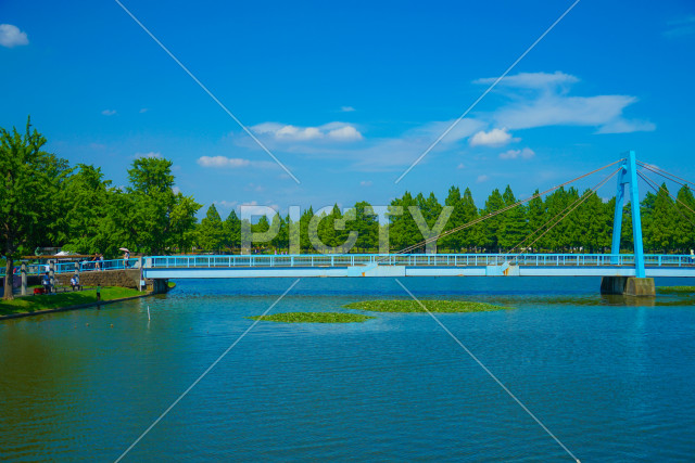 写真のタイトルが入ります