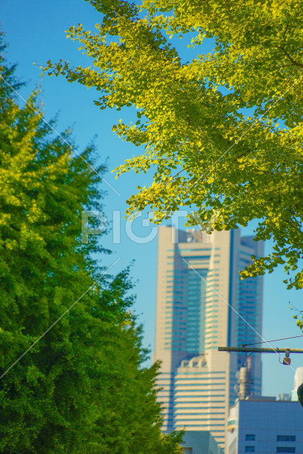 写真のタイトルが入ります