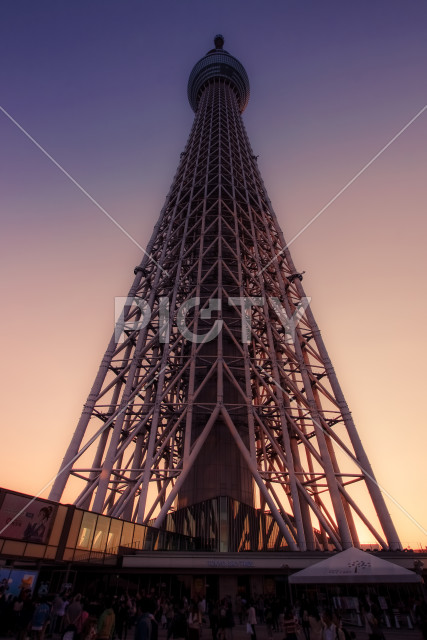写真のタイトルが入ります