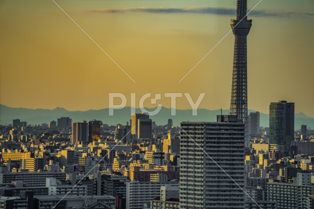 写真のタイトルが入ります