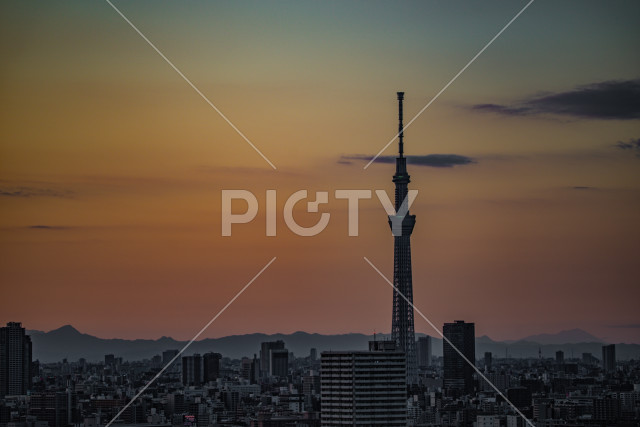 写真のタイトルが入ります
