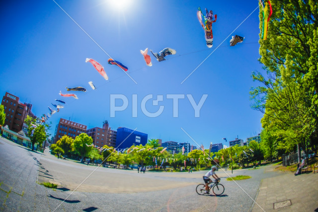 写真のタイトルが入ります