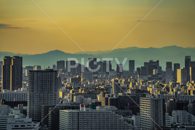 写真のタイトルが入ります