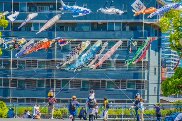 写真のタイトルが入ります
