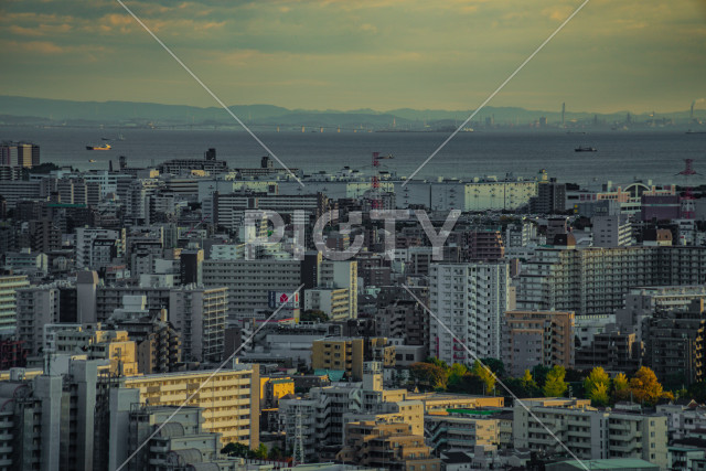 写真のタイトルが入ります