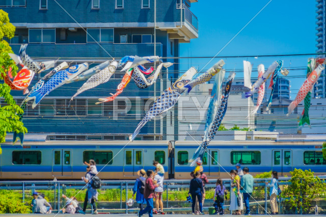 写真のタイトルが入ります