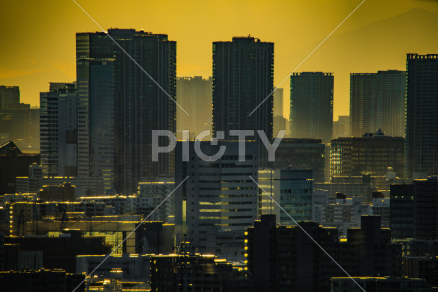 写真のタイトルが入ります